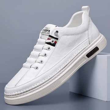 Zapato de Cuero Auténtico